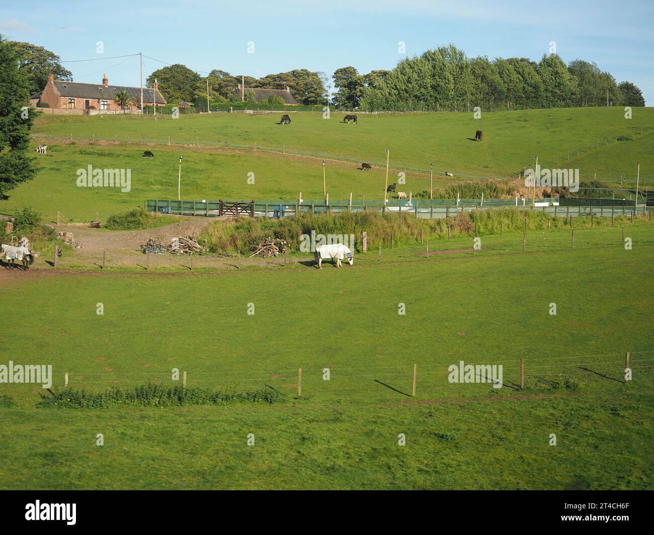 Panorama der schottischen Lowlands zwischen Dundee und Aberdeen Stockfoto