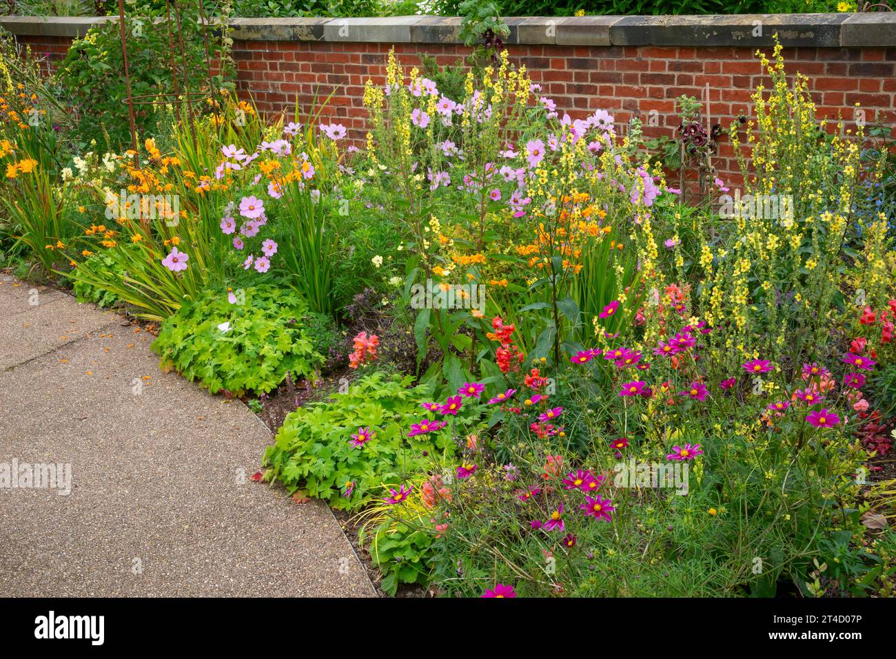Lebhafte Sommerblumen im RHS Bridgewater Garden in Worsley, Salford, Manchester, England. Stockfoto