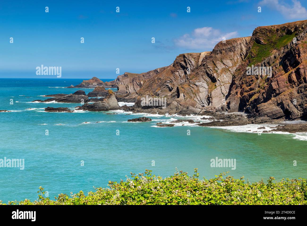 Beeindruckende Klippen am Hartland Quay, Devon, Großbritannien, an einem schönen Sommernachmittag. Konzentrieren Sie sich auf den Felsen. Stockfoto