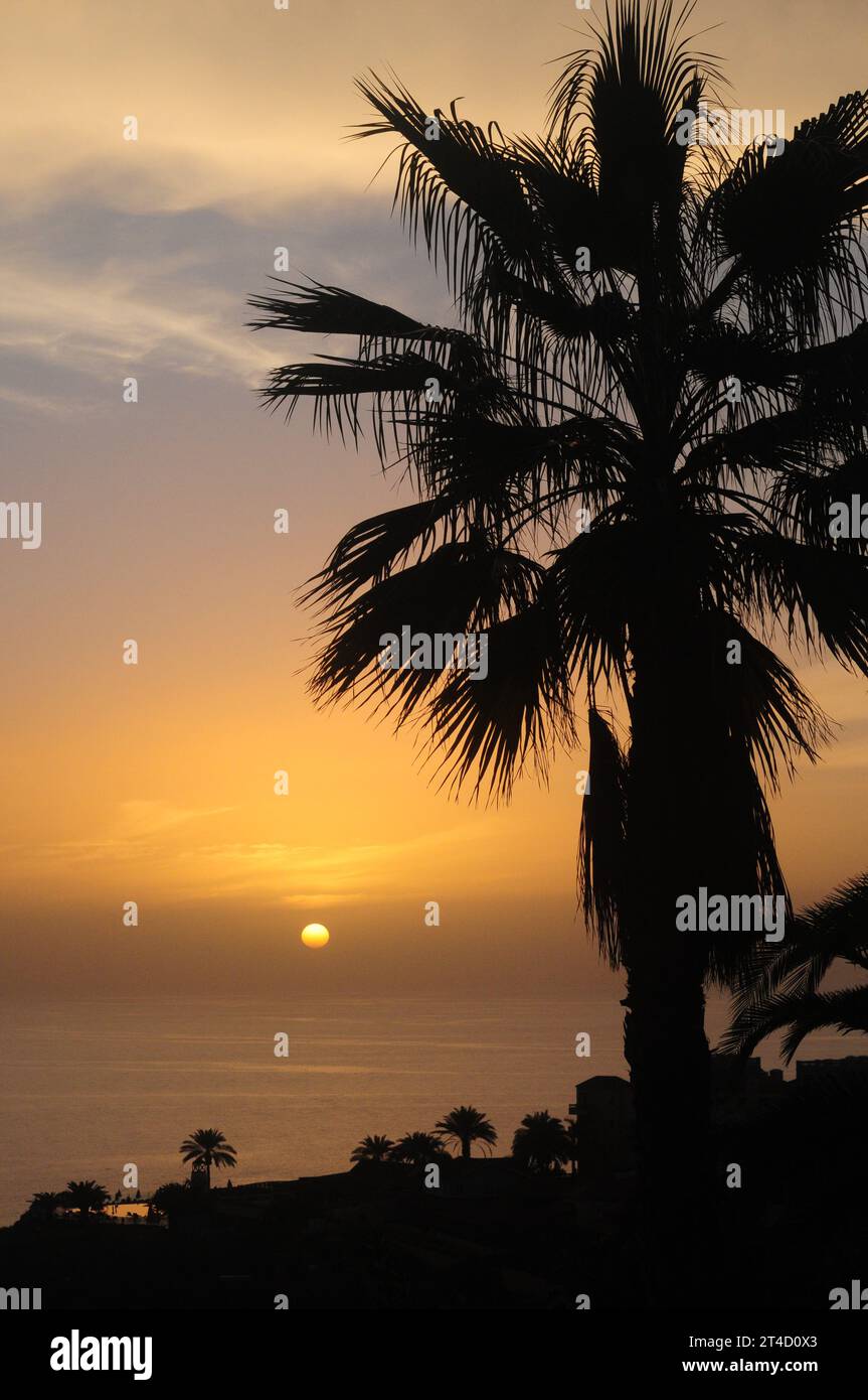 Sharm el Sheikh Sonnenuntergang mit Palmen Stockfoto