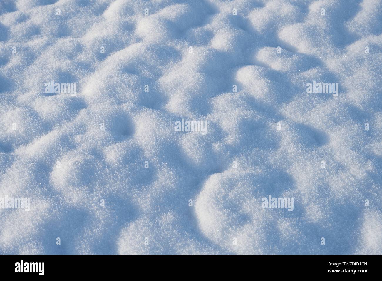 Frisch aufgelegter Schnee auf Gras Stockfoto