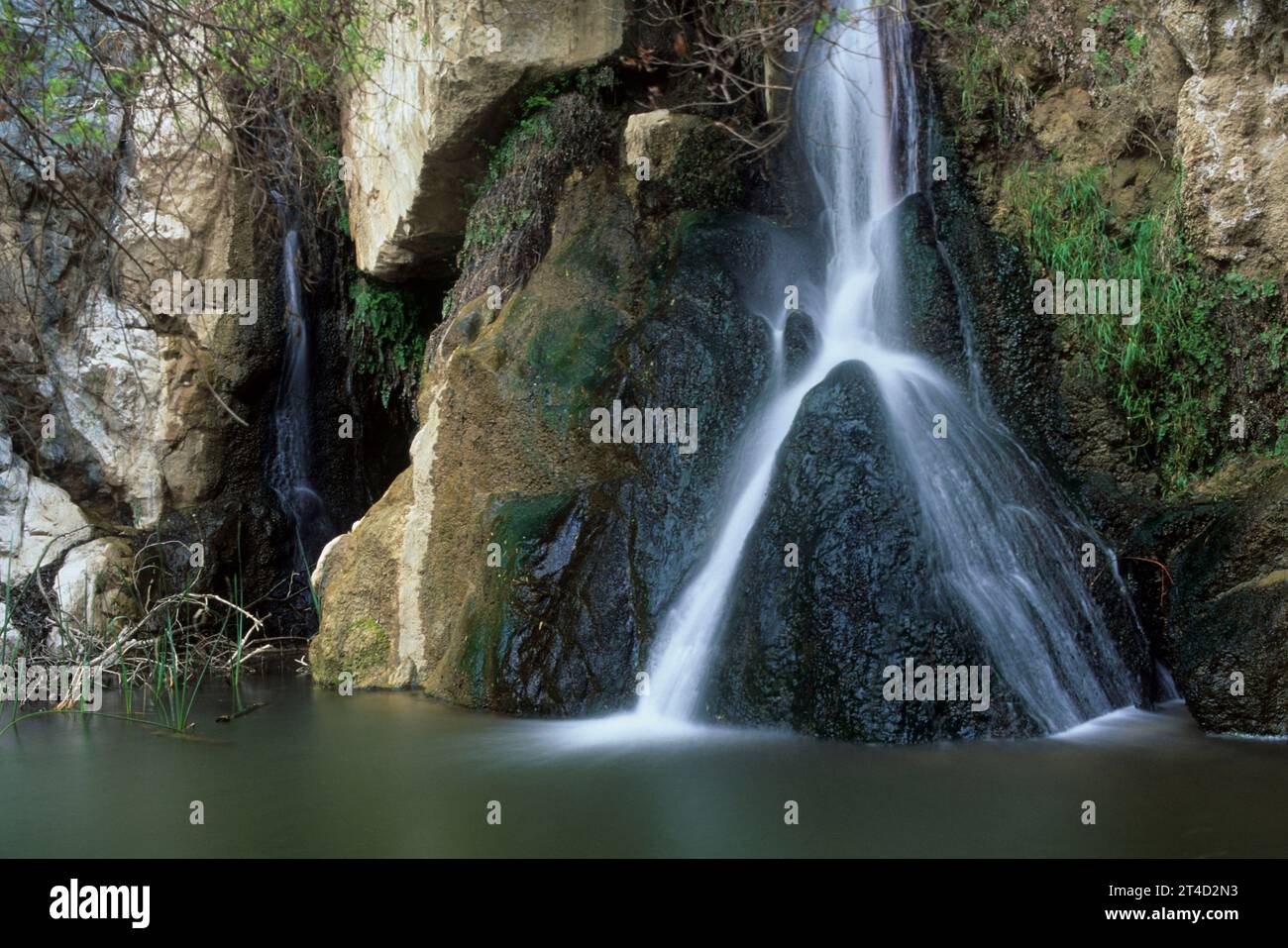 Darwin Falls, Darwin Falls Gebiet von kritischer Umweltproblematik, Death Valley National Park, Kalifornien Stockfoto