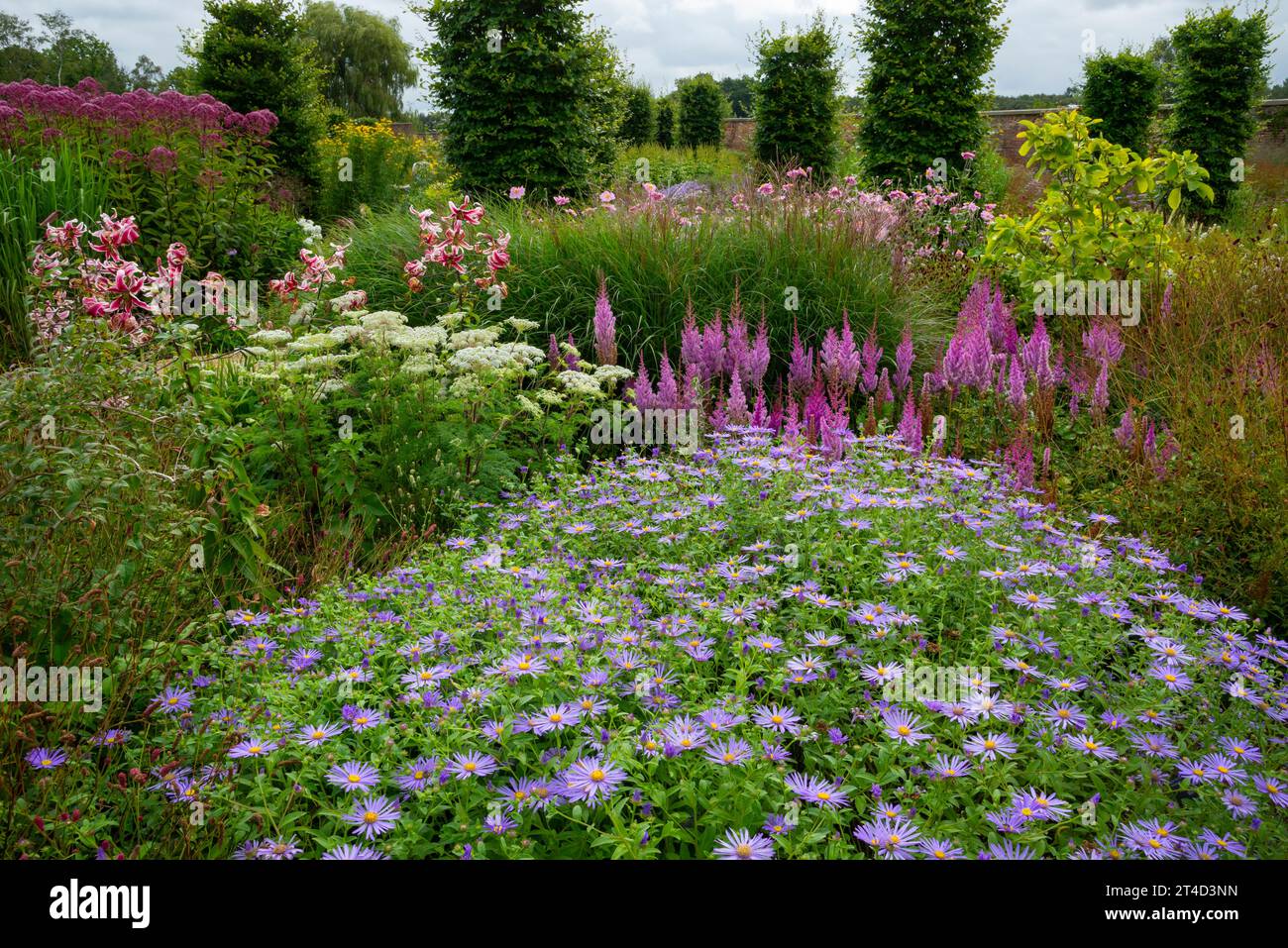Pflanzen im Spätsommer im Paradise Garden im RHS Bridgewater Garden in Worsley, Salford, Manchester, England. Stockfoto