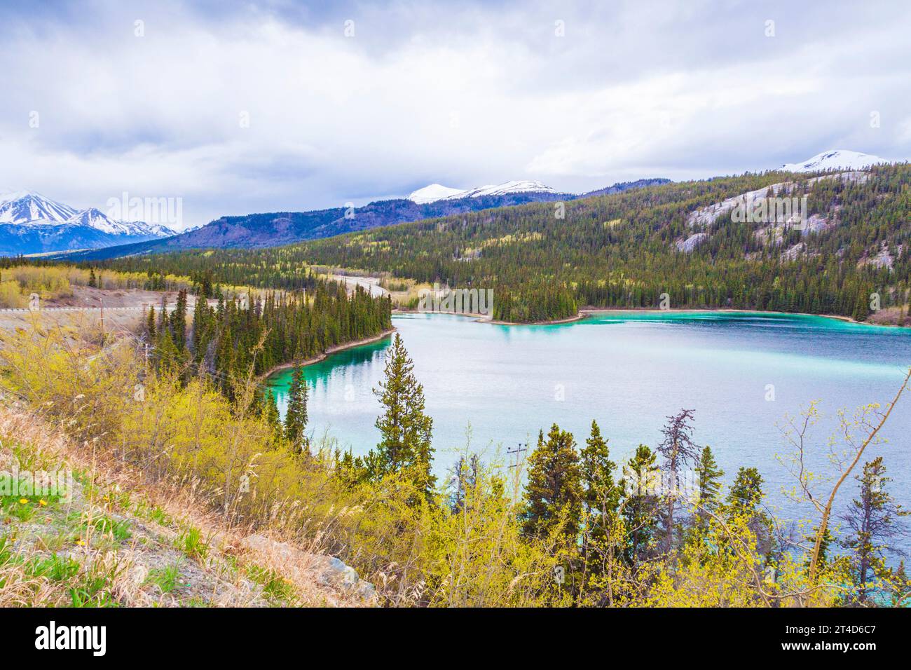 Emerald Lake in der Nähe von Carcross im Yukon Territory, Kanada. Die grüne Farbe ist das Ergebnis des Sonnenlichts, das von dem, was genannt wird, Mergel reflektiert wird. Marl ist der Stockfoto