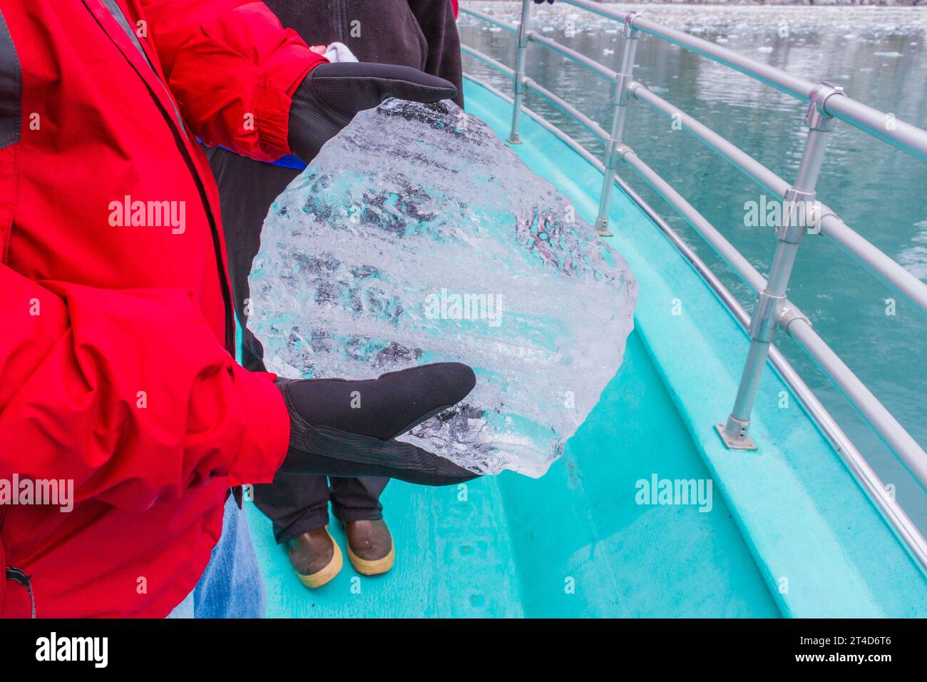 Gletschereis, das dichter und blauer ist als gewöhnliches gefrorenes Wasser, demonstriert auf dem Tourboot der Kenai Fjords im Kenai Fjords National Park in Alaska. Stockfoto