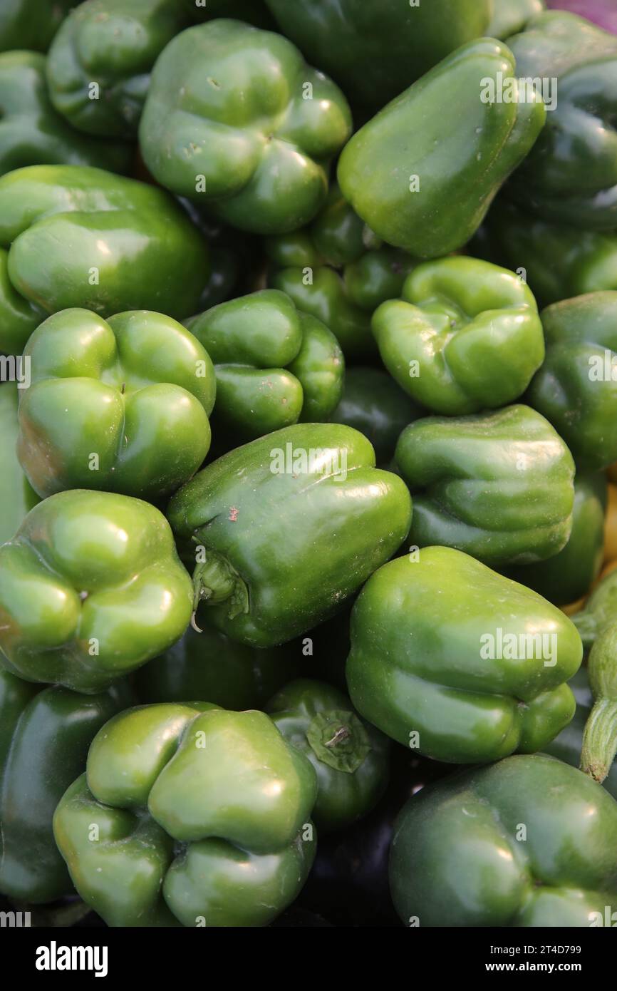 „Vibrant and Crunchy: Celebrating the farbenfrohe World of Bell Peppers 🌶️“ Stockfoto