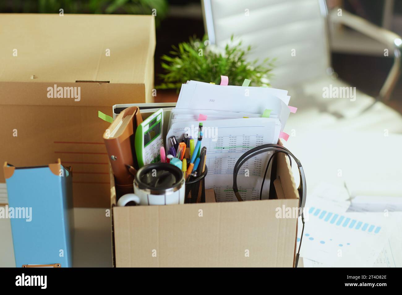 Neuer Job. Tisch in einem modernen grünen Büro mit persönlichen Gegenständen in Pappkarton. Stockfoto