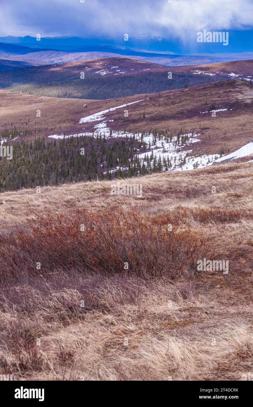 Schnee auf Berg- und Hügellandschaften, vom „Top of the World Highway“ oder Yukon Highway 9 aus gesehen. Highway zwischen Dawson City und Alaska. Stockfoto