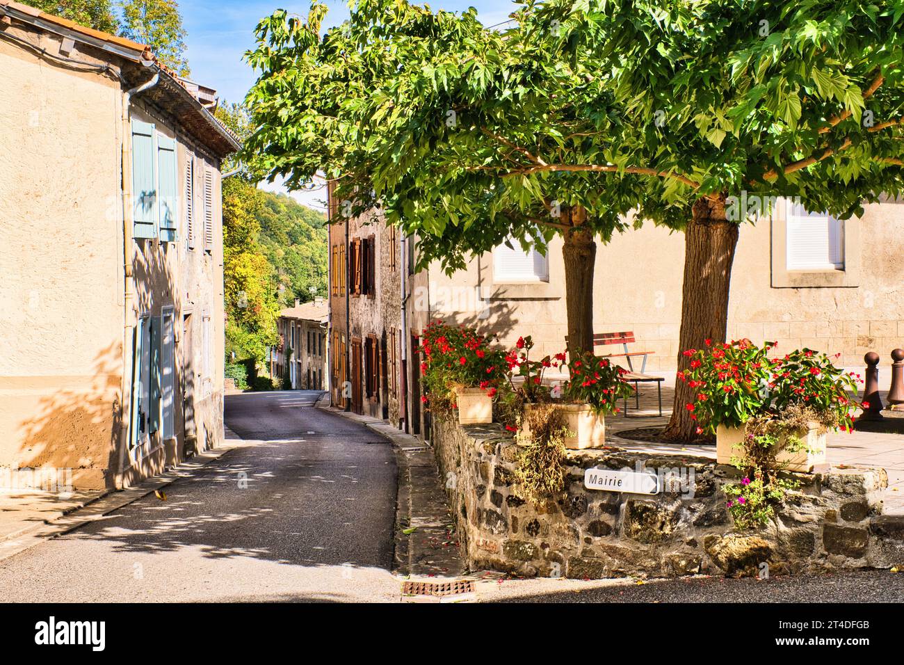 Montferrier Ariege Frankreich 17.10.23 Eine enge Straße in einem französischen Dorf. Zwei Maulbeerbäume auf einer piazza. Steinhäuser mit Fensterläden. Pflanzen Stockfoto