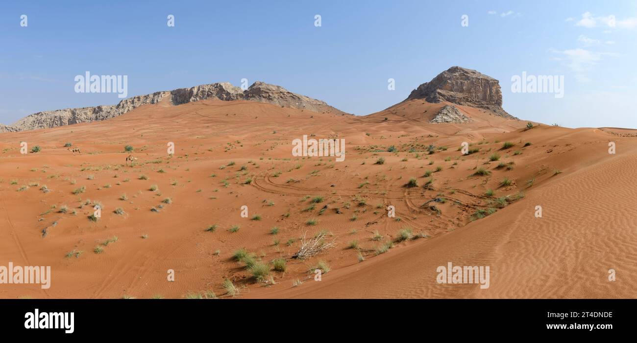 Fossil Rock, Eine markante Felsformation, eingebettet in Meeresfossilien, die sich über weitläufigen Sanddünen in der Wüste der VAE erheben Stockfoto
