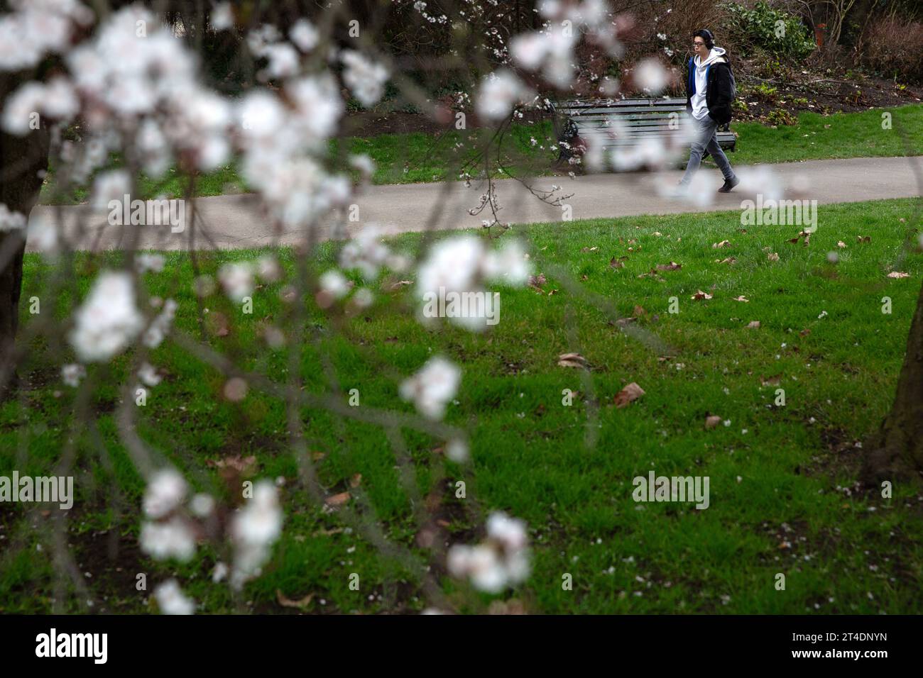 Blumen blühen, während die Menschen ihre Zeit im Regent’s Park in London verbringen. Stockfoto