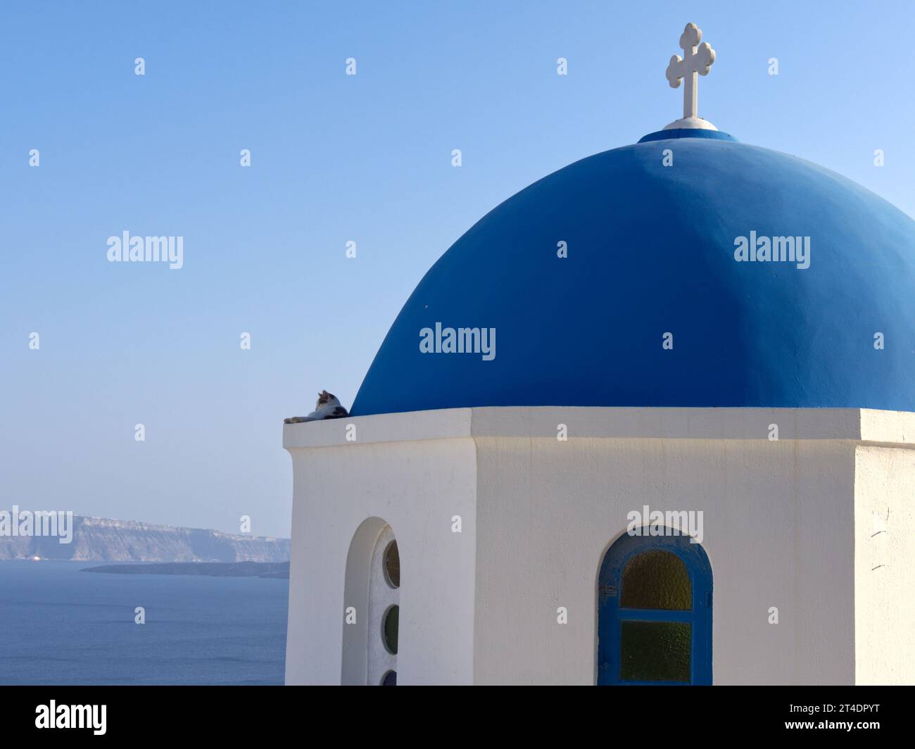 Die Katze kühlt auf der blauen Kuppel von Santorini Stockfoto