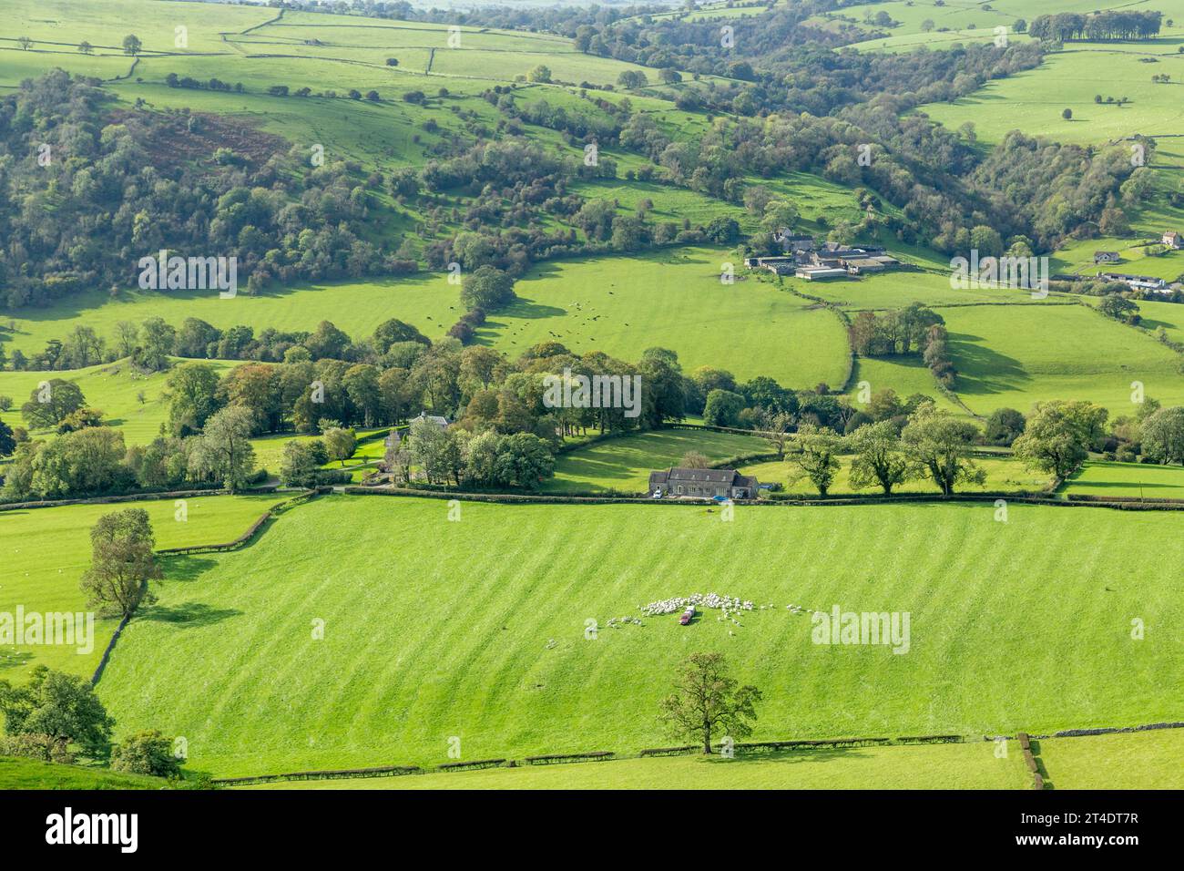 Ein malerisches Flickenteppich aus grünen Feldern in der Nähe von Ilam, von Bunster Hill aus gesehen, Staffordshire, England Stockfoto