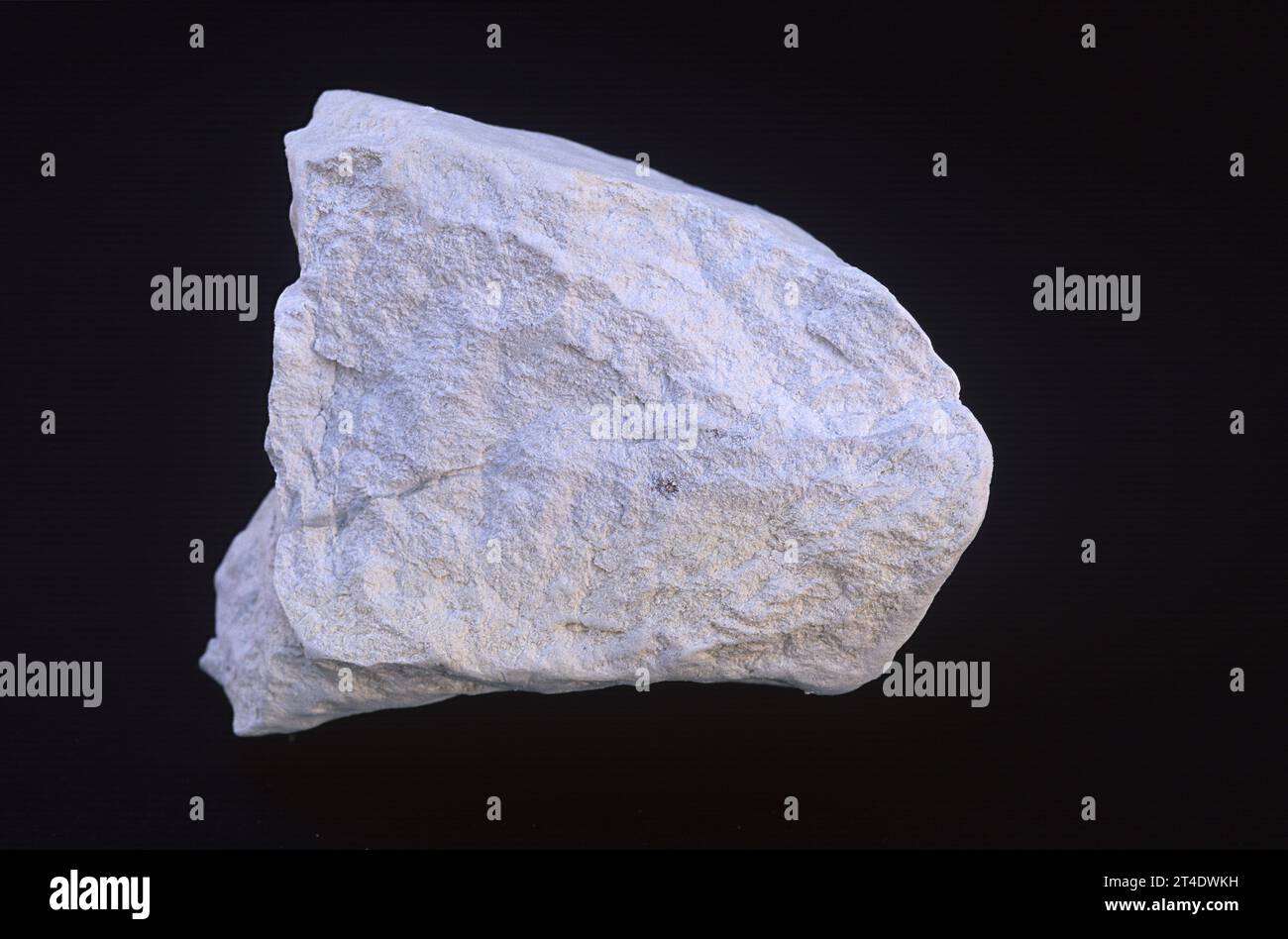Diatomeen diatomeen Fotos und Bildmaterial in hoher Auflösung Alamy