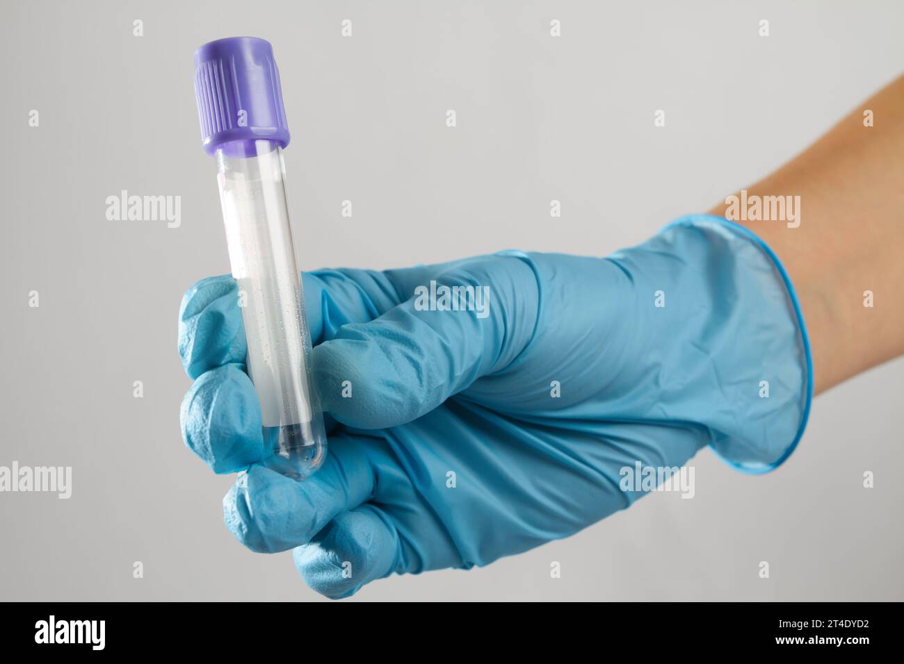 Die Hand eines medizinischen Experten in einem sterilen Handschuh hält ein sauberes blaues Blutteströhrchen Stockfoto