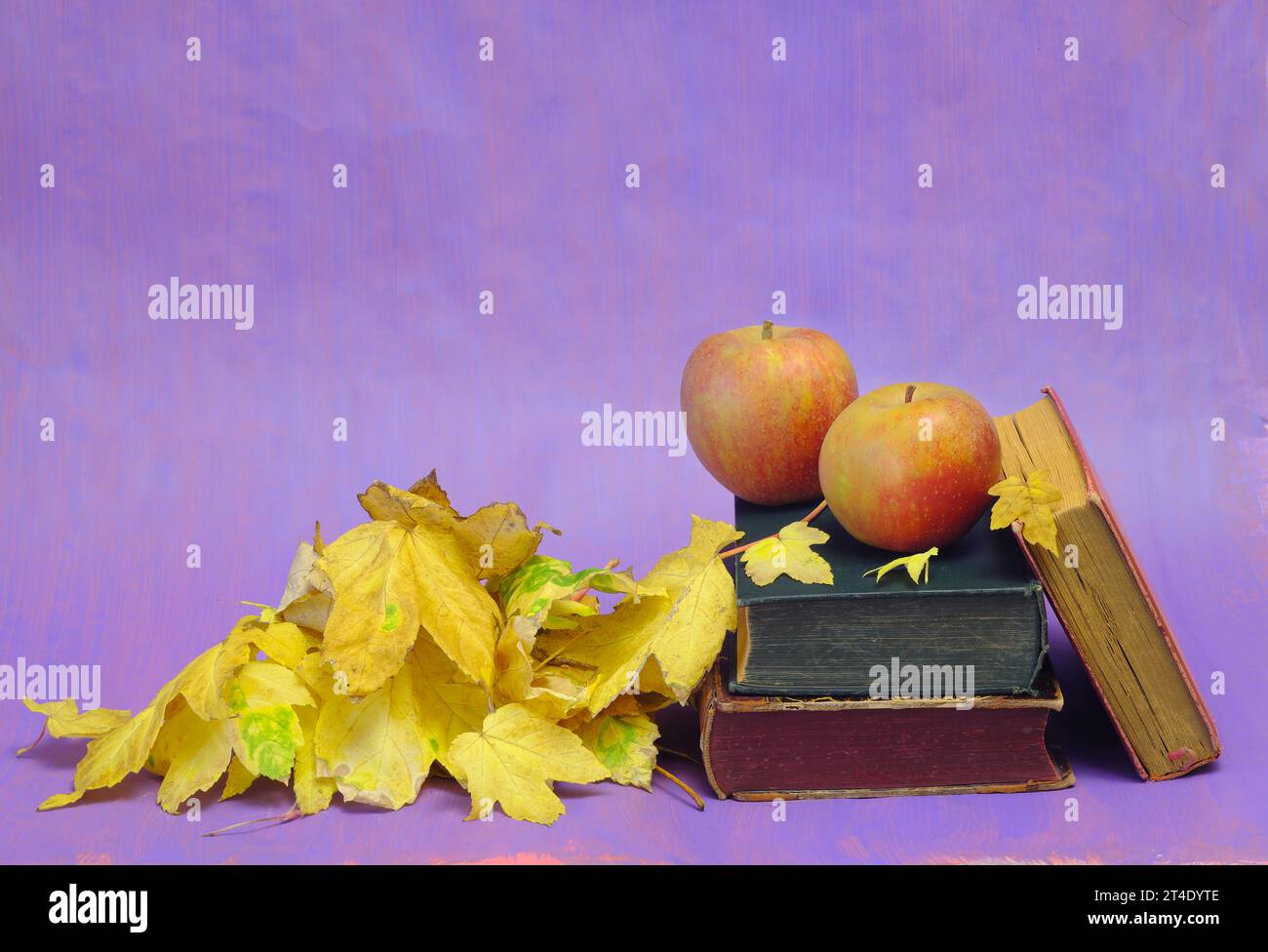 Lesen und Entspannen im Herbst mit Büchern, Äpfeln und Herbstlaub. Herbstbuchmesse, Inspiration, Lesen, Bildung, Literaturkonzept, kostenlose Kopie sp Stockfoto