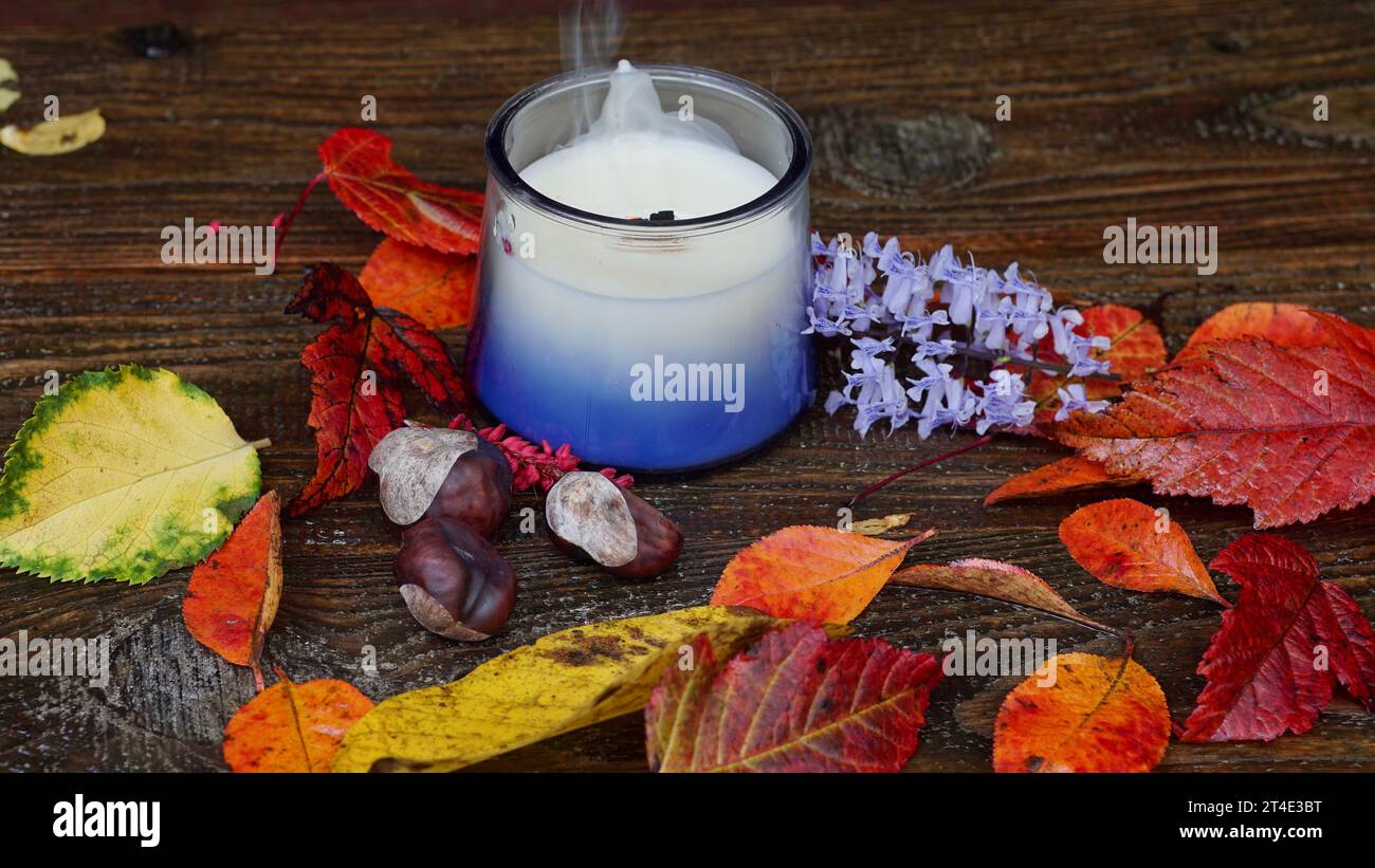 Eine schwarze und eine weiße Kerze inmitten farbenfroher Herbstblätter. Herbstliches Gefühl. Stockfoto