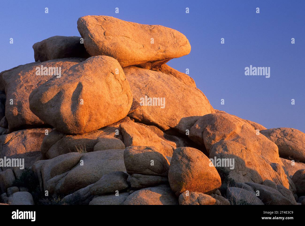 Granitausläufer im White Tank, Joshua Tree National Park, Kalifornien Stockfoto