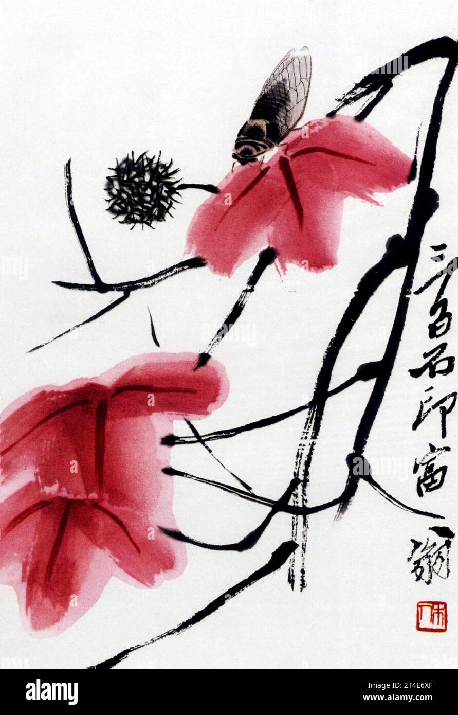 Qi Baishi. Gemälde einer Cicada des chinesischen Künstlers Qi Baishi (1864-1957) Stockfoto