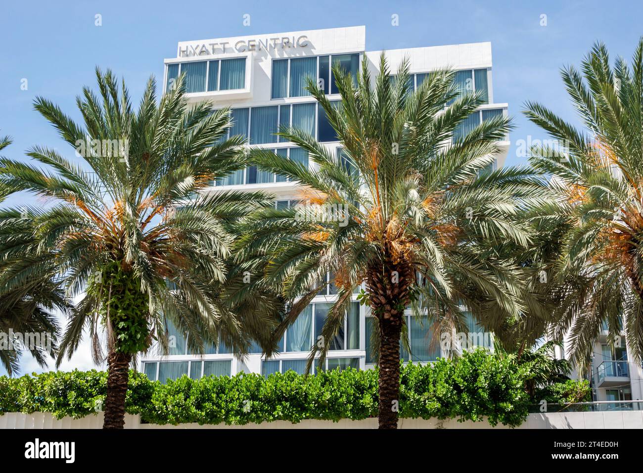 Miami Beach Florida, Außenfassade, Gebäude Vordereingang Hotel, Collins Avenue, Hyatt Centric South Beach Miami Schild, Hotels Motels Unternehmen Stockfoto