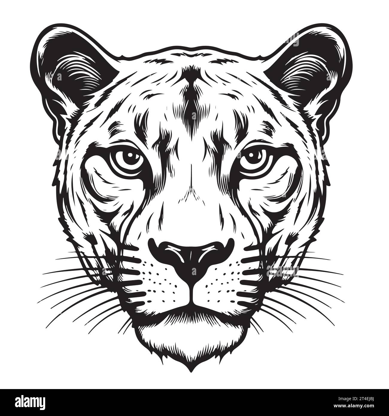 Schwarzes Panther Porträt handgezeichnete Skizze Vektor-Illustration, wilde Tiere Stock Vektor