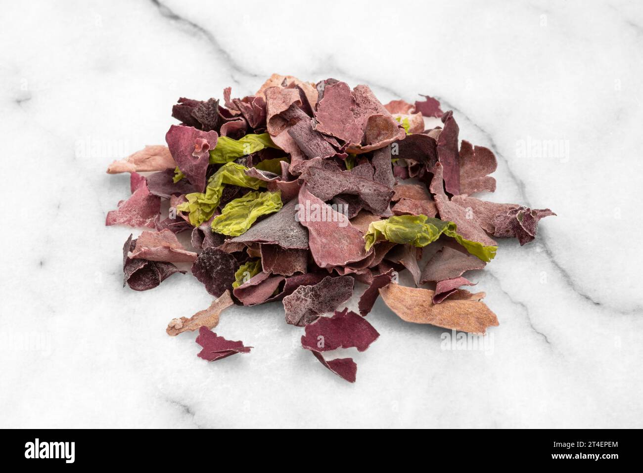 Nahaufnahme von getrockneten und frischen essbaren Algen für eine Mahlzeit Stockfoto