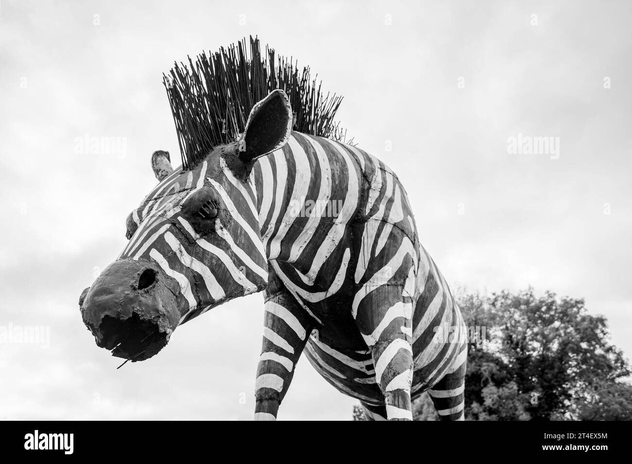 Plains Zebra-Skulptur im Shropshire Sculpture Park am 21. Oktober 2023 in Oswestry. Stockfoto