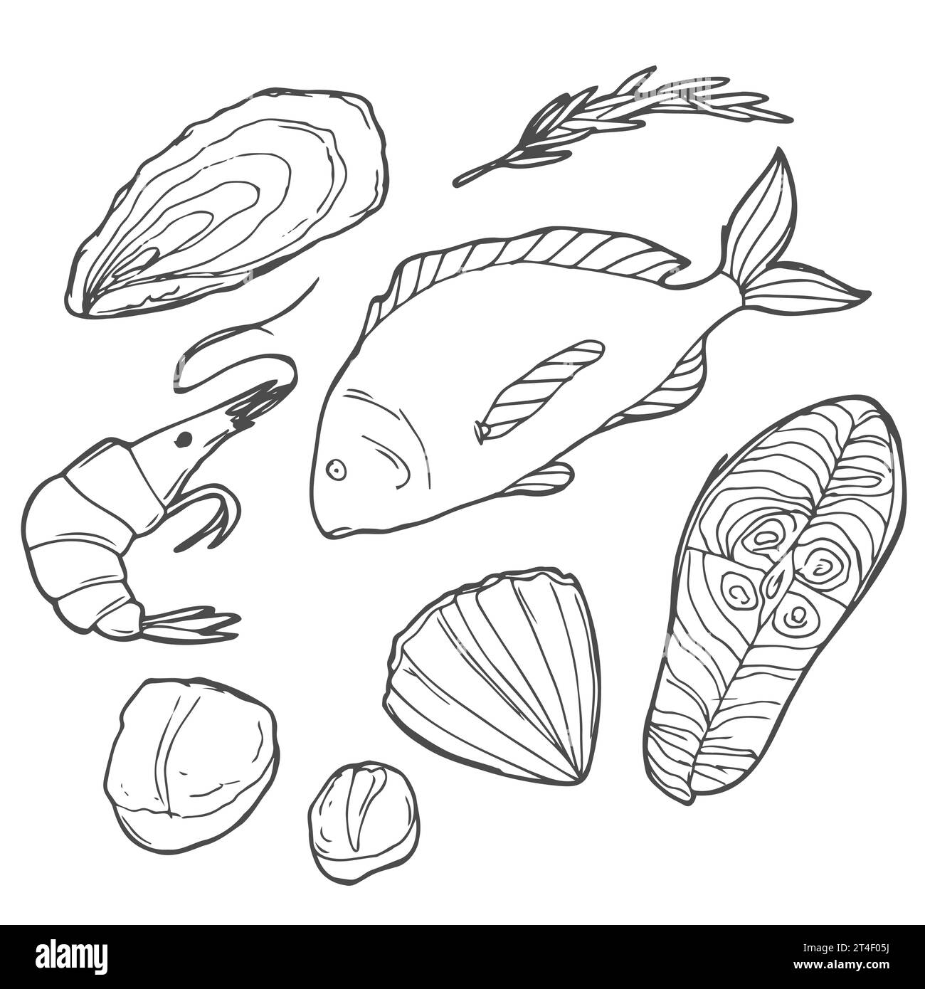 Handgezeichnetes Meeresfrüchte-Set. Dekorative Ikonen Tintenfisch, Tintenfisch, Lachs, Austern, Jakobsmuscheln, Hummer, roter Barsch, Krebse Muscheln und Muscheln Vektor-Illustration Stock Vektor