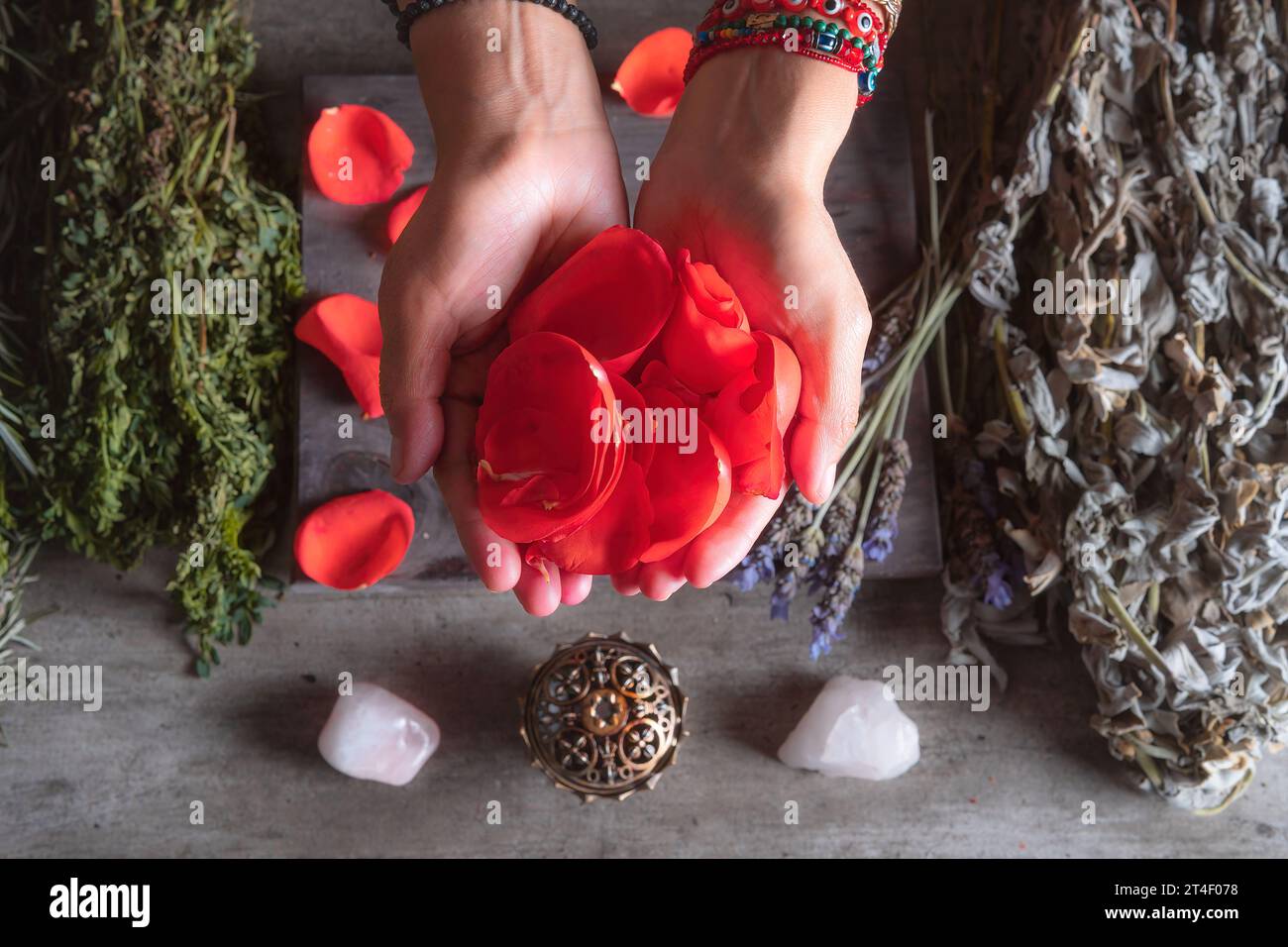 Frau, die Rosenblätter mit den Händen hält, für spirituelle und traditionelle Rituale in Lateinamerika oder in Mexiko Stockfoto