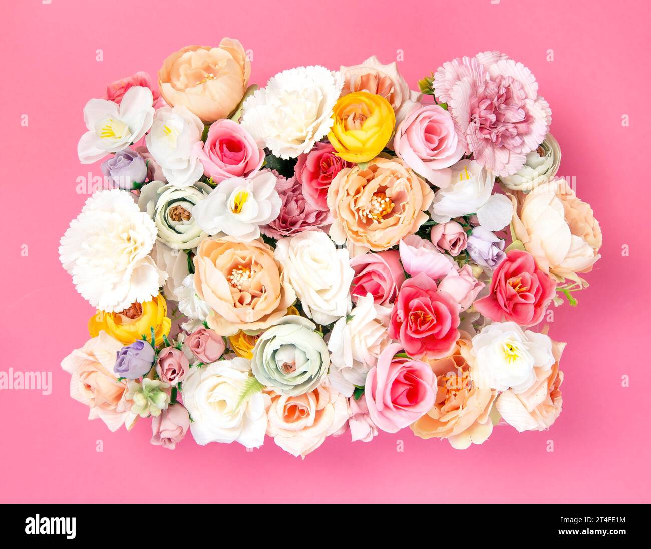 Blumenkomposition auf rosa Hintergrund Stockfoto