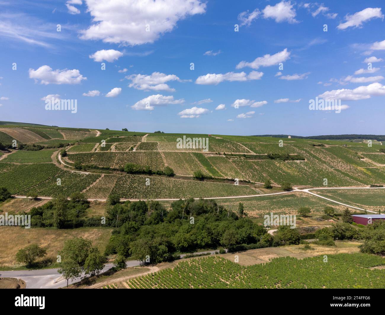 Weinberge der Appellation Sancerre, Herstellung von trockenem Weißwein aus der traube sauvignon Blanc, die auf Hügeln am linken Ufer des Flusses Loire auf differen angebaut wird Stockfoto