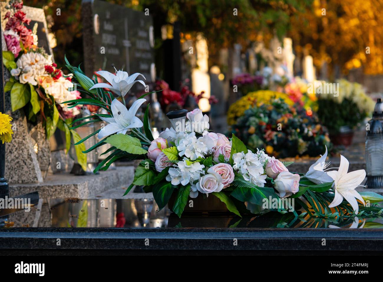 Blumen auf dem Grab. Allerheiligen auf dem Friedhof. Stockfoto