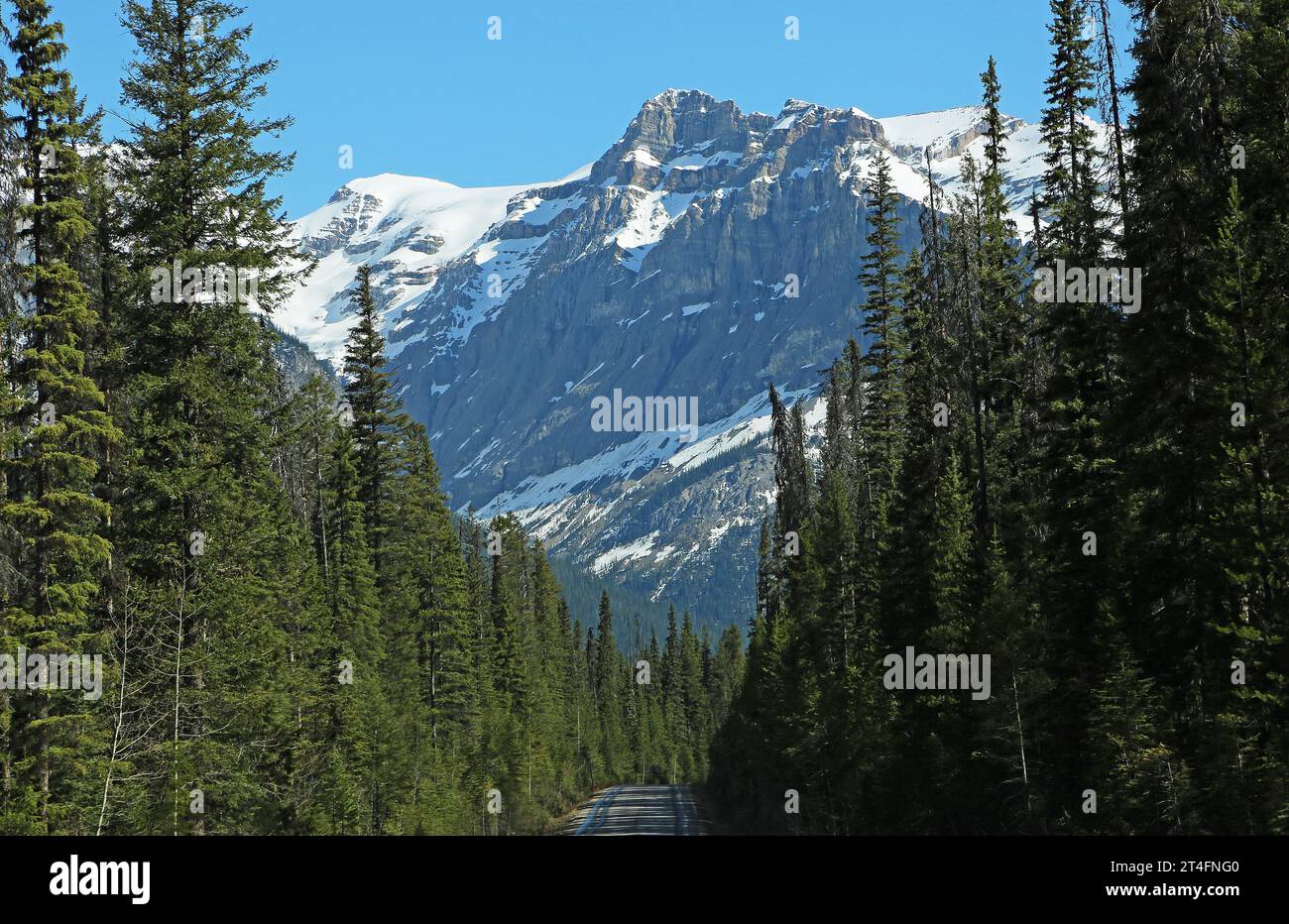 Die Straße und Michael Peak, Kanada Stockfoto