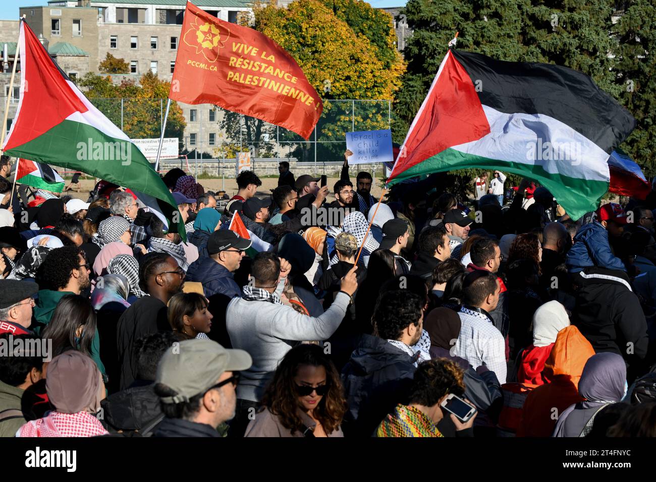 In Montreal, Kanada, vereinigten sich eine Vielzahl von Demonstranten in Solidarität mit den Palästinensern und forderten inbrünstig einen dringenden Waffenstillstand in Gaza am 28. Oktober 2023 Stockfoto