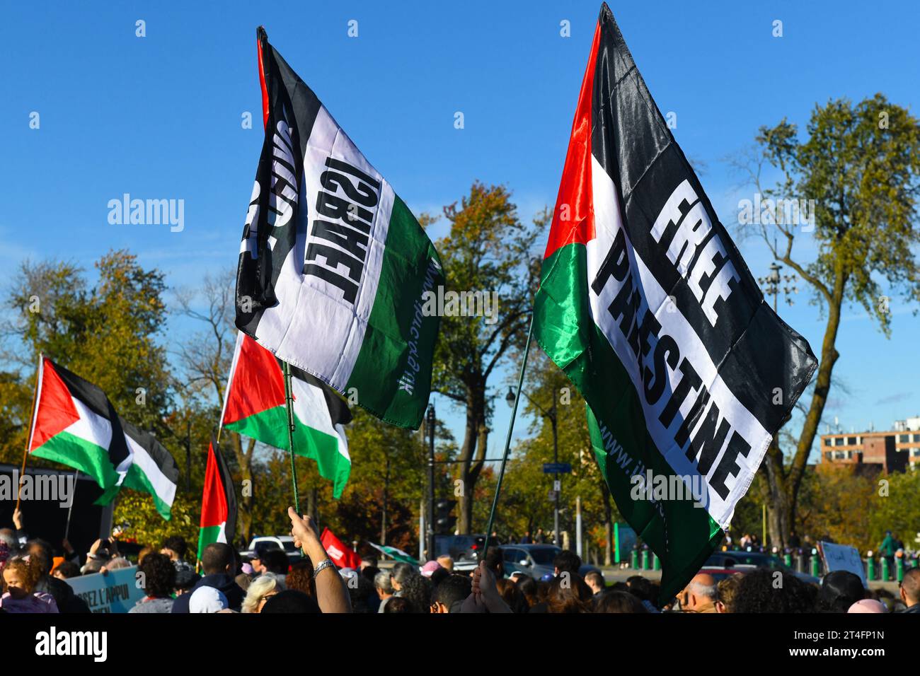 In Montreal, Kanada, vereinigten sich eine Vielzahl von Demonstranten in Solidarität mit den Palästinensern und forderten inbrünstig einen dringenden Waffenstillstand in Gaza am 28. Oktober 2023 Stockfoto