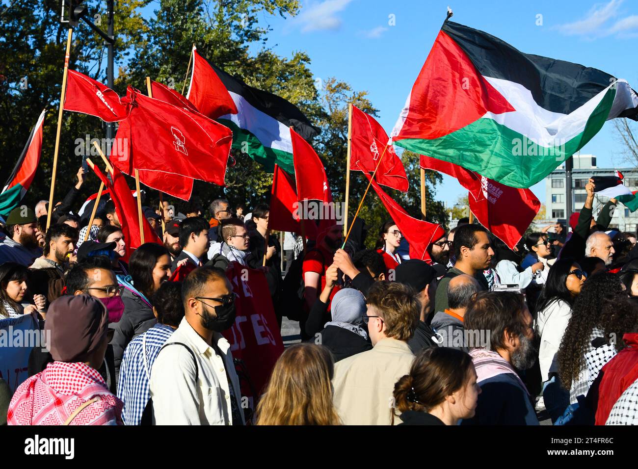 In Montreal, Kanada, vereinigten sich eine Vielzahl von Demonstranten in Solidarität mit den Palästinensern und forderten inbrünstig einen dringenden Waffenstillstand in Gaza am 28. Oktober 2023 Stockfoto