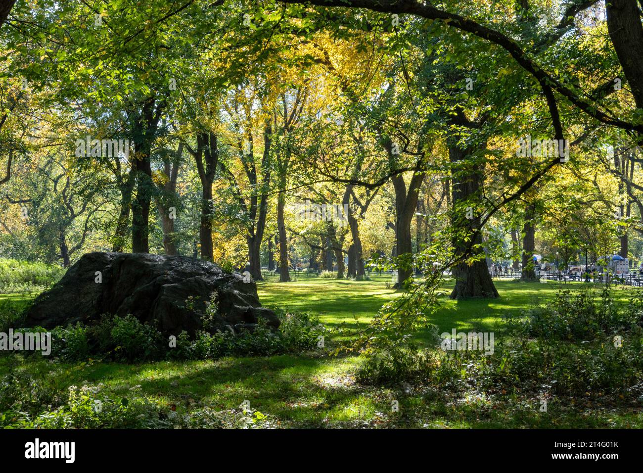 Der Central Park in New York City ist während der Herbstsaison 2023, USA, wunderschön Stockfoto