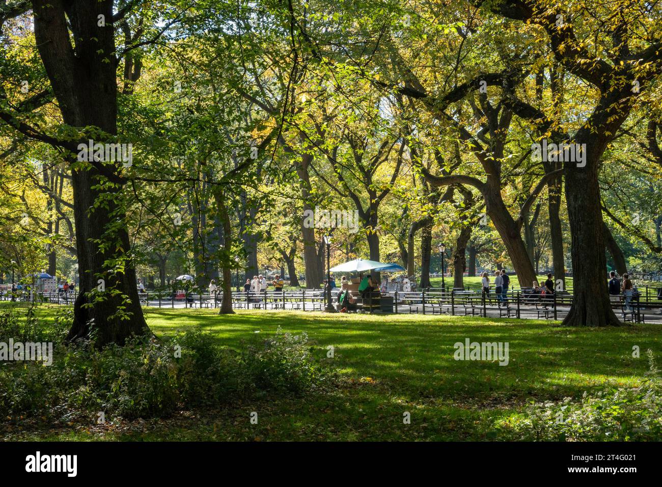 Der Central Park in New York City ist während der Herbstsaison 2023, USA, wunderschön Stockfoto
