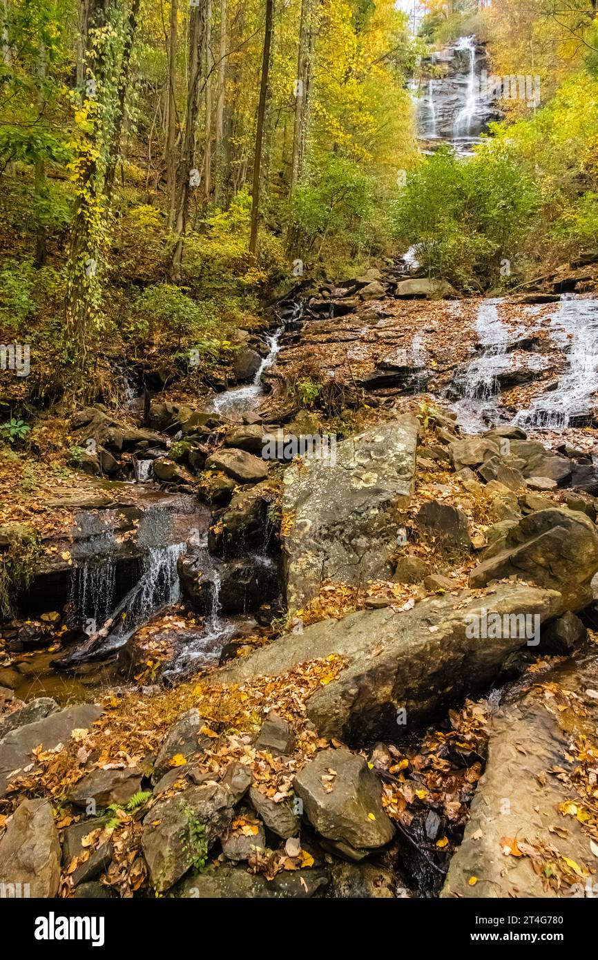 Amicalola Falls im Amicalola Falls State Park mit gefallenen Blättern und Herbstlaub in Dawsonville, Georgia. (USA) Stockfoto