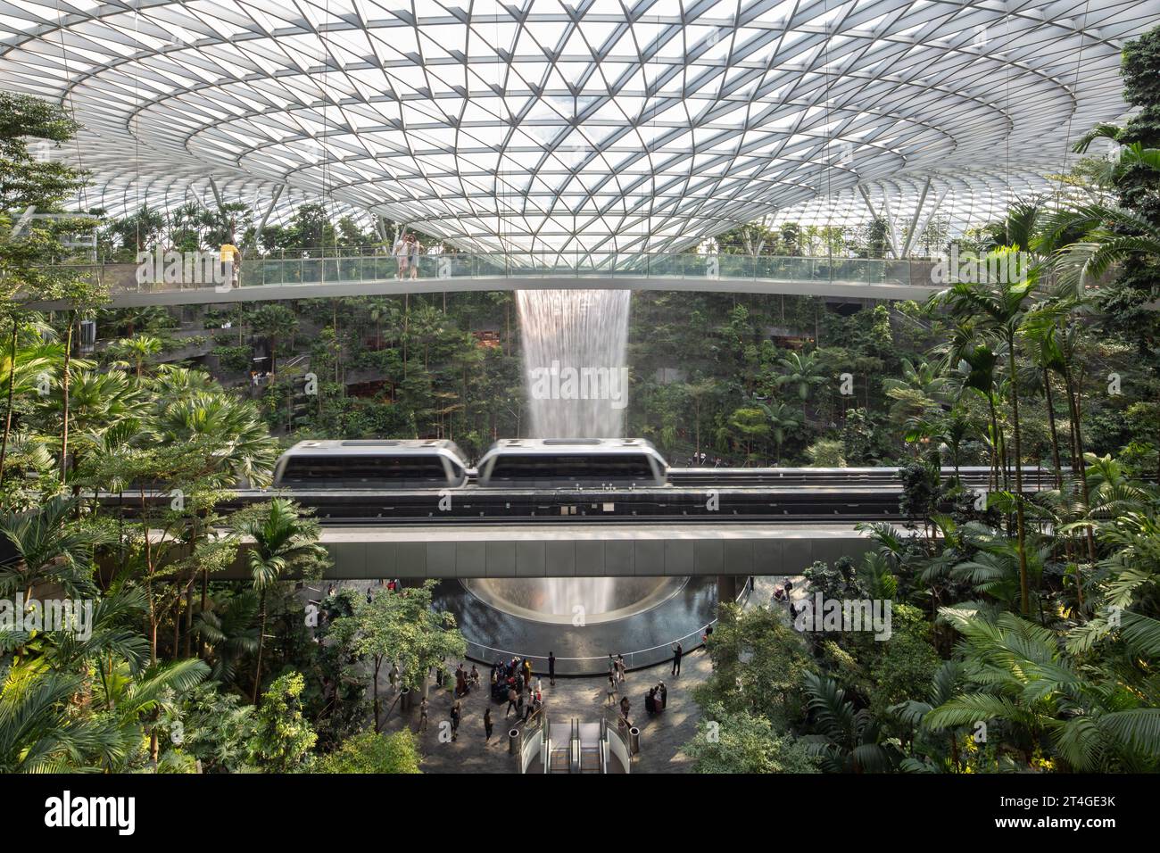 Der Sky Train bewegt sich im Inneren des Jewel Changi Airport, wo Besucher das üppig grüne Innere und den höchsten Indoor-Wasserfall der Welt bewundern können. Singapur Stockfoto