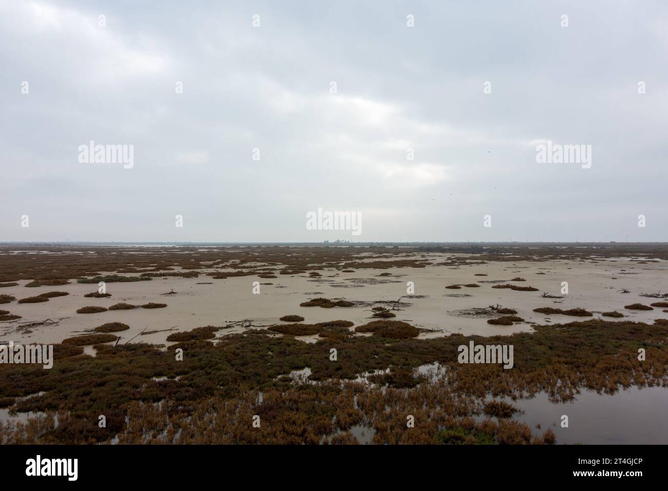 Wunderschöne Landschaft im Delta des Flusses Gallikos, Kalochori, Griechenland, ein Zufluchtsort für viele Vogelarten und Fische Stockfoto