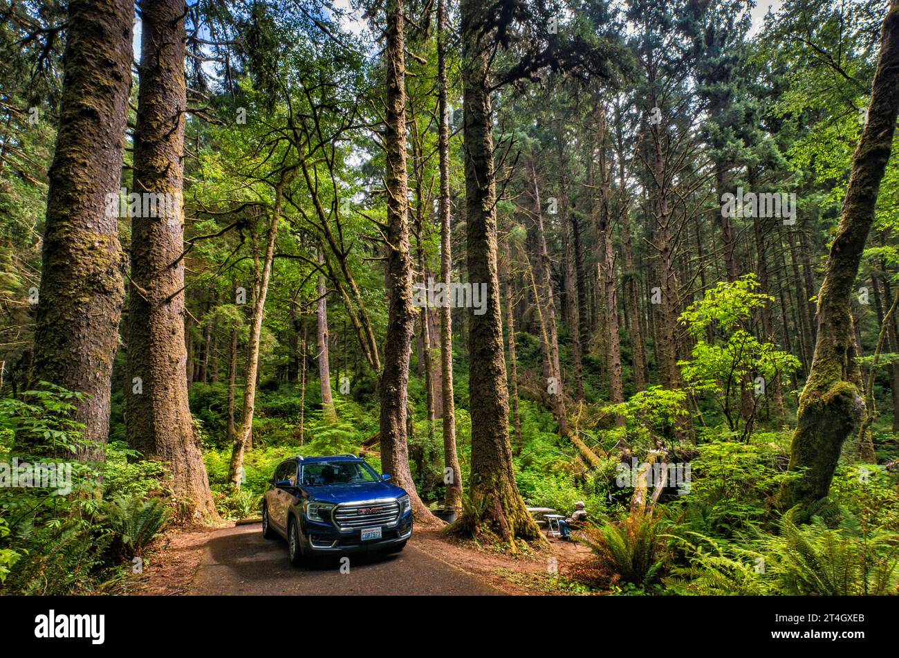 Fahrzeug und Wohnmobil auf dem Campingplatz über Rock Creek, gemäßigtem Regenwald, Rock Creek Campground, Siuslaw National Forest, Oregon Coast Range, Oregon, USA Stockfoto