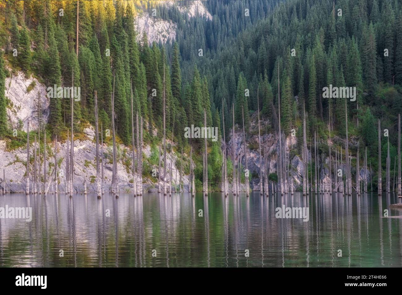 Bergsee Kaindy am Abend. Kasachstan Almaty Region Tien Shan Gebirgssystem Stockfoto