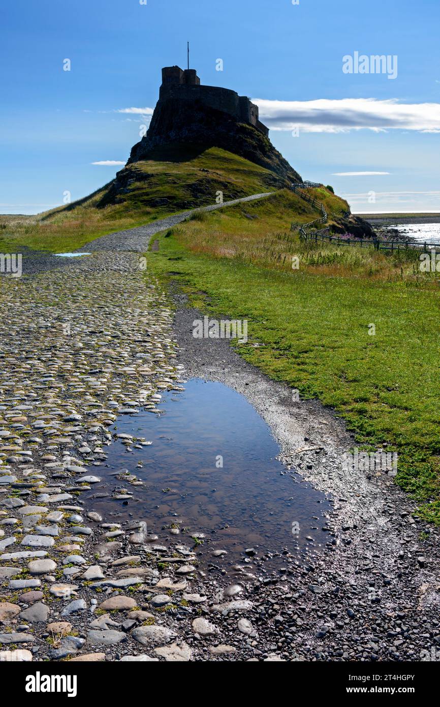 Lindisfarne Castle, 16. Jahrhundert, wurde jedoch 1901 von Sir Edwin Lutyens in Holy Island, Northumberland, England, Großbritannien verändert Stockfoto