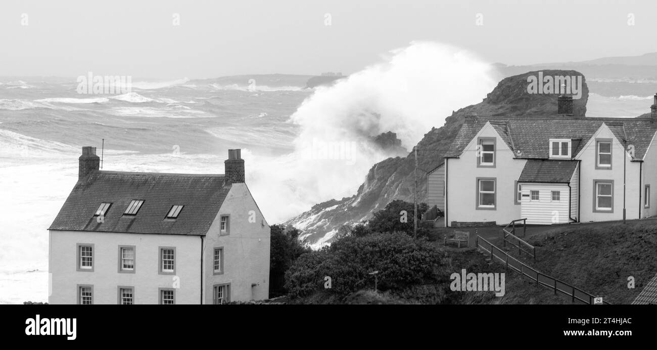 St Abbs Harbour, St Abbs, Berwickshire, Schottland, Vereinigtes Königreich - Foto während des Sturms Babet am 20. Oktober 2023 Stockfoto