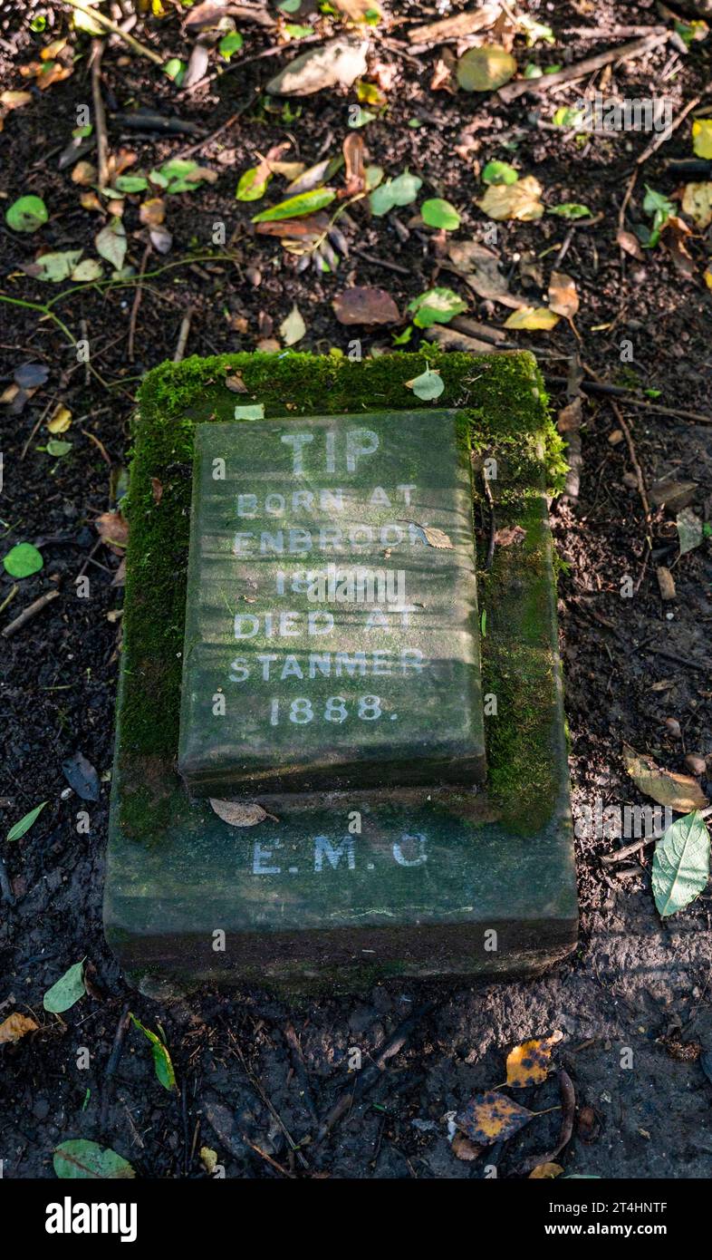 PET Dog Grave for Tip 1888 in Stanmer Park, Brighton, Sussex, England, UK Credit Simon Dack Stockfoto