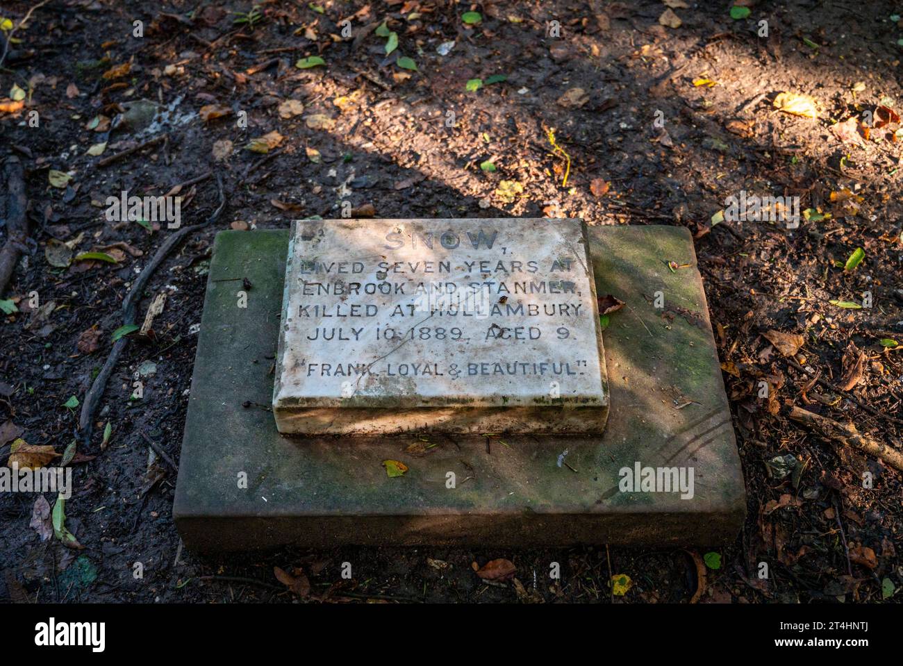 PET Dog Grave for Snow 1889 in Stanmer Park, Brighton, Sussex, England, UK Credit Simon Dack Stockfoto