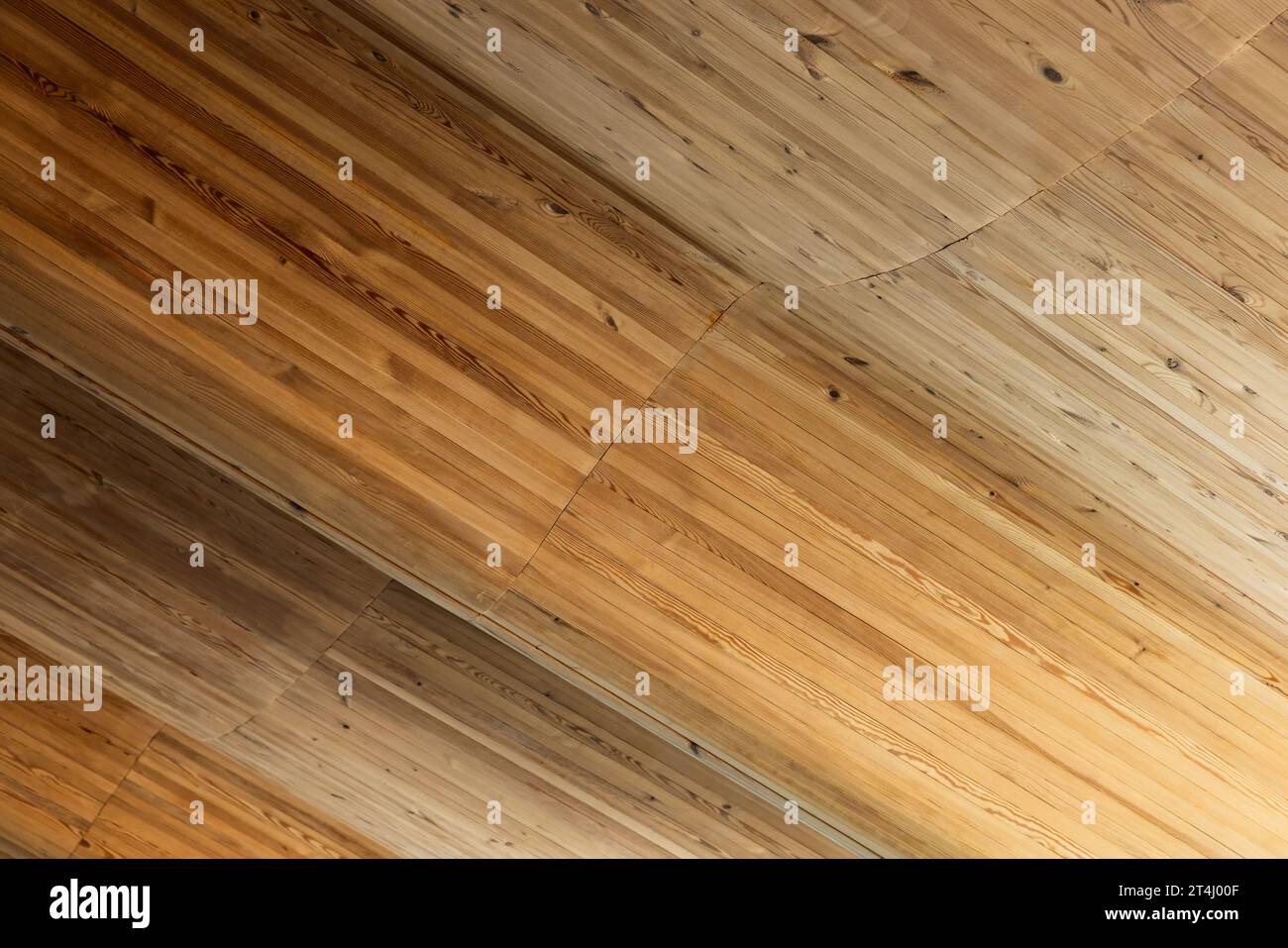 Gebogene Holzdeckenstruktur aus Kiefernholzdielen, Hintergrundfoto zeitgenössischer Architektur Stockfoto
