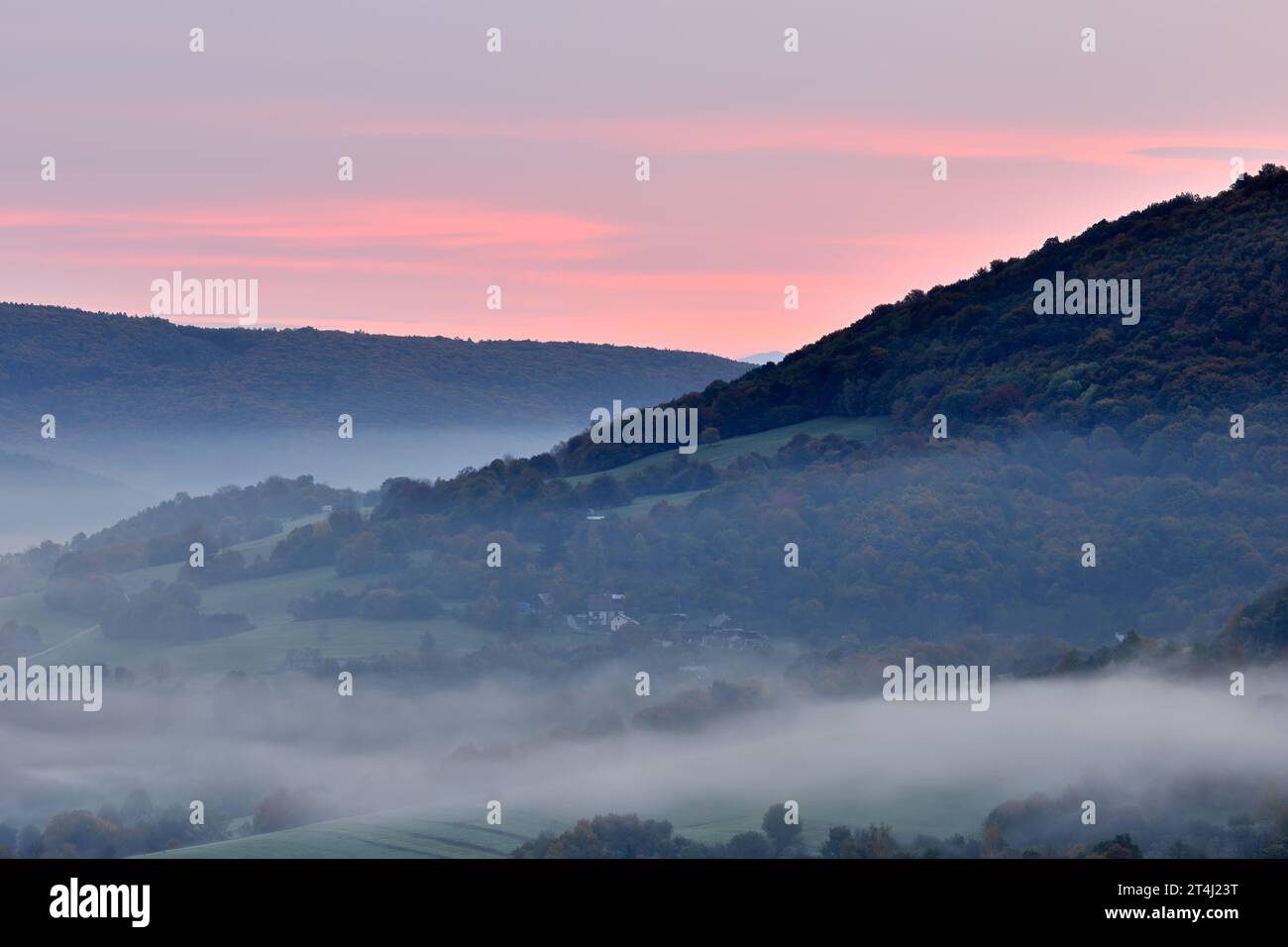 Herbst ländliche Nebellandschaft mit Wald bei Sonnenaufgang. Schöner rosa bewölkter Himmel. Blick auf das Tal von oben. Horna Suca, Slowakei Stockfoto