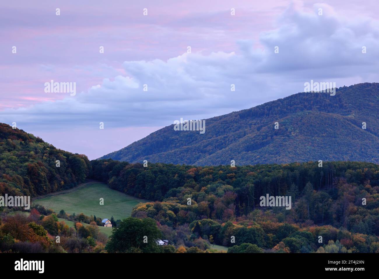 Herbst ländliche Landschaft mit Wald und einsamem Haus bei Sonnenuntergang. Bunte Bäume. Schöner rosa Himmel mit großer weißer Wolke. Horna Suca, Dubrava, Slowakei Stockfoto
